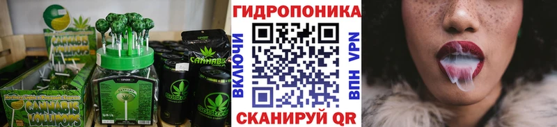 Canna-Cookies конопля  купить наркотики сайты  Кирово-Чепецк 