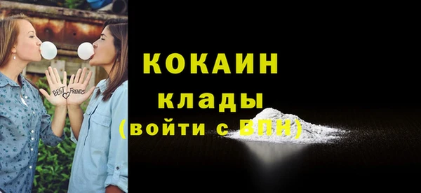 индика Армянск