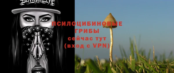 spice Аркадак