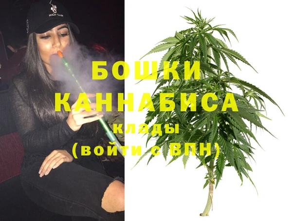 spice Аркадак