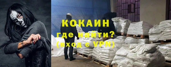 индика Армянск