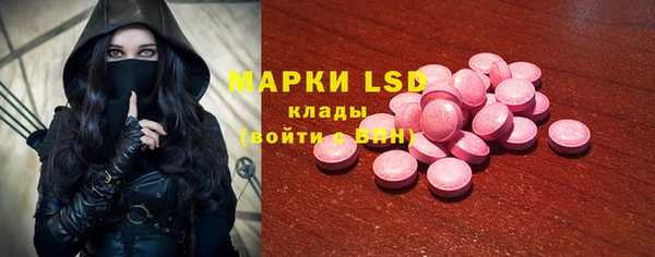 spice Аркадак