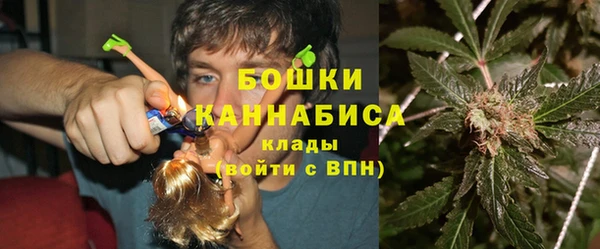 индика Армянск