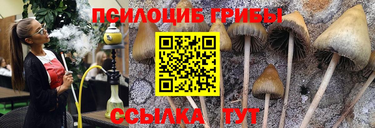 Псилоцибиновые грибы Magic Shrooms  Вход с VPN  Кирово-Чепецк 