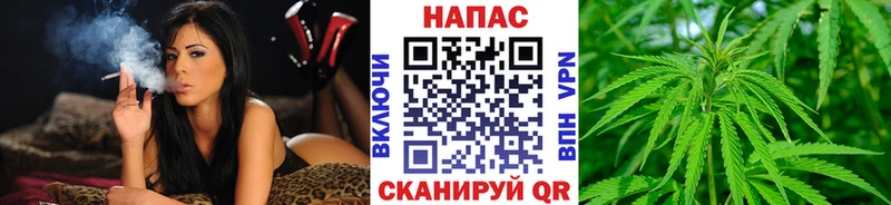 Каннабис ГИДРОПОН  наркотики  Кирово-Чепецк 